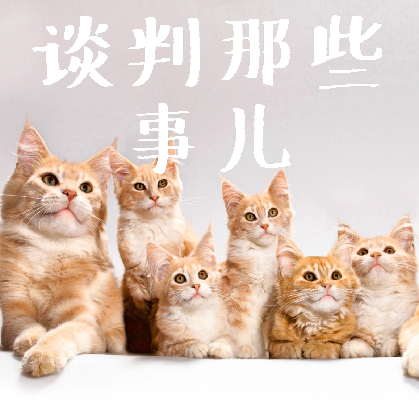 谈判那些事儿