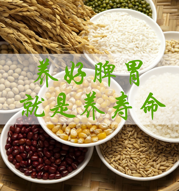 养好脾胃就是养寿命