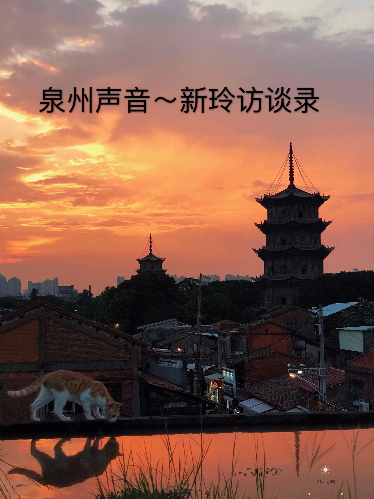 泉州声音:新玲访谈录