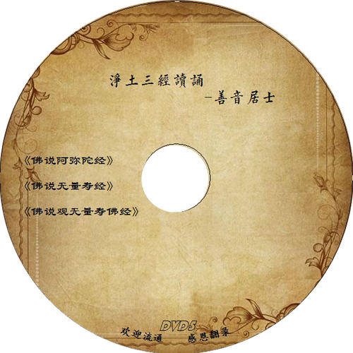 善音居士佛经念诵专辑