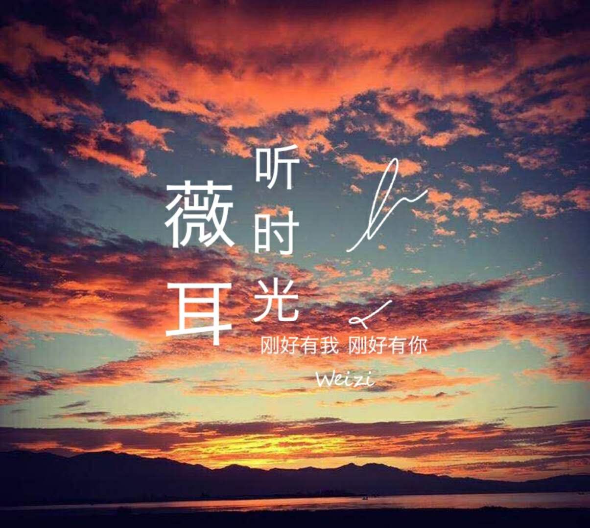 薇耳听时光