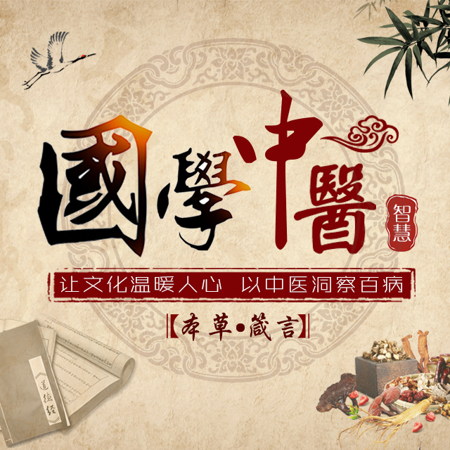 国学中医智慧