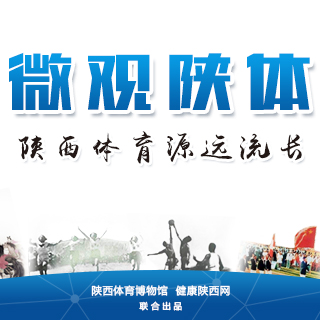 微观陕体