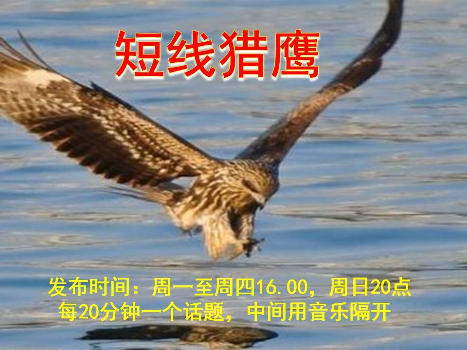 短线猎鹰(培训)