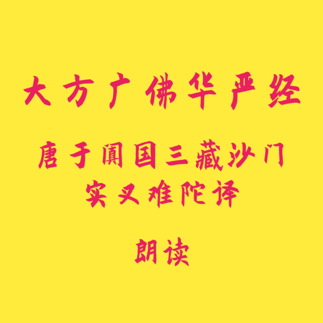 大方广佛华严经(191)