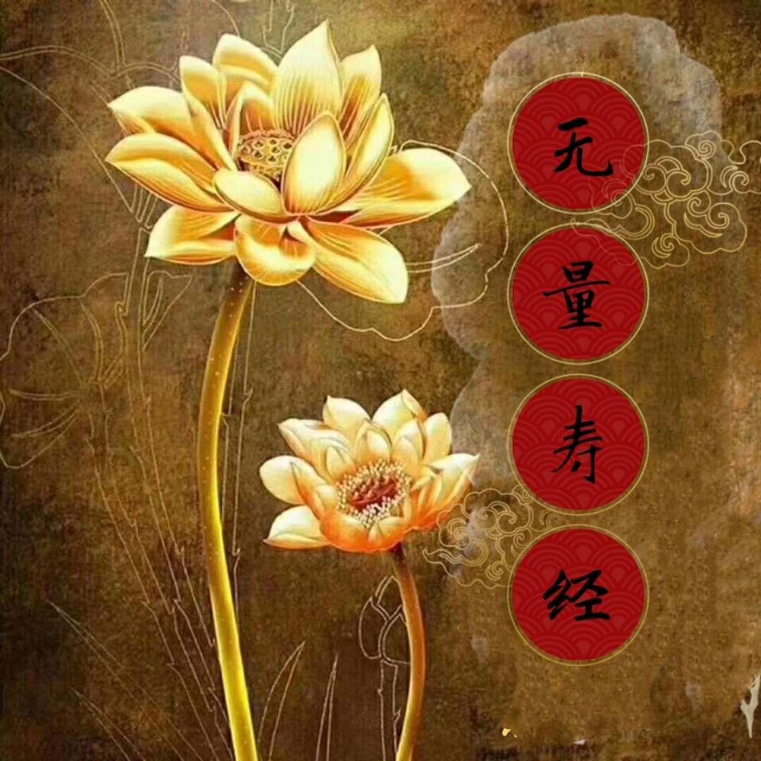 无量寿经读诵〈二〉