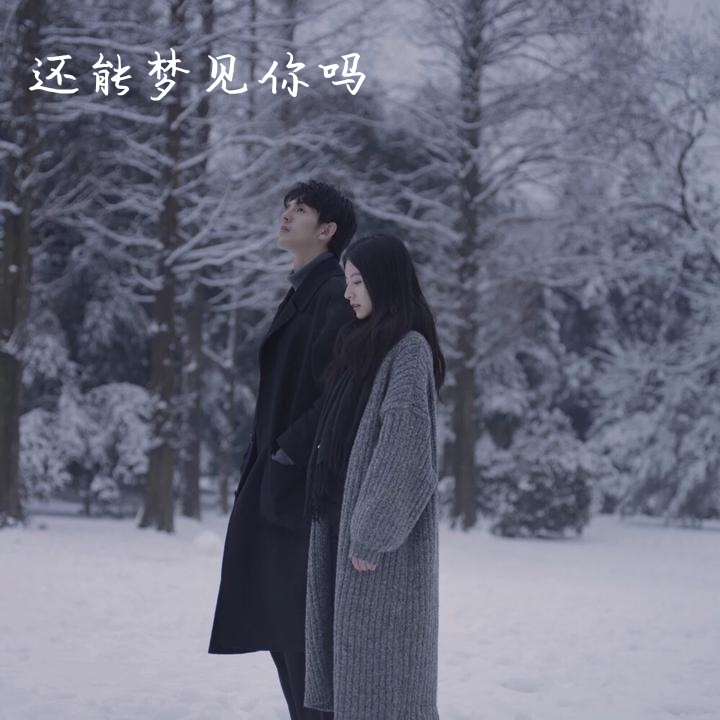 还能梦见你吗