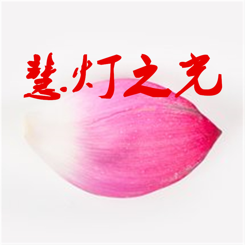 《慧灯之光》慈诚罗珠堪布 《慧灯之光》慈诚罗珠堪布