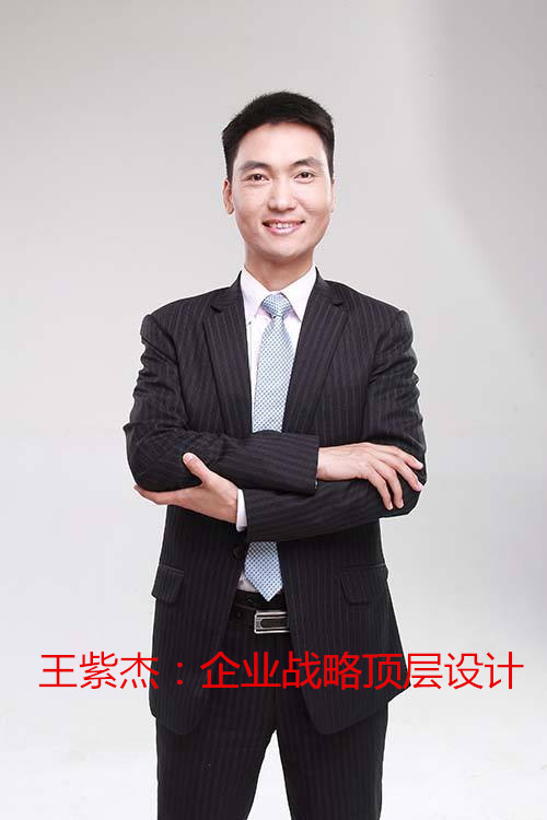 王紫杰:企业战略顶层设计