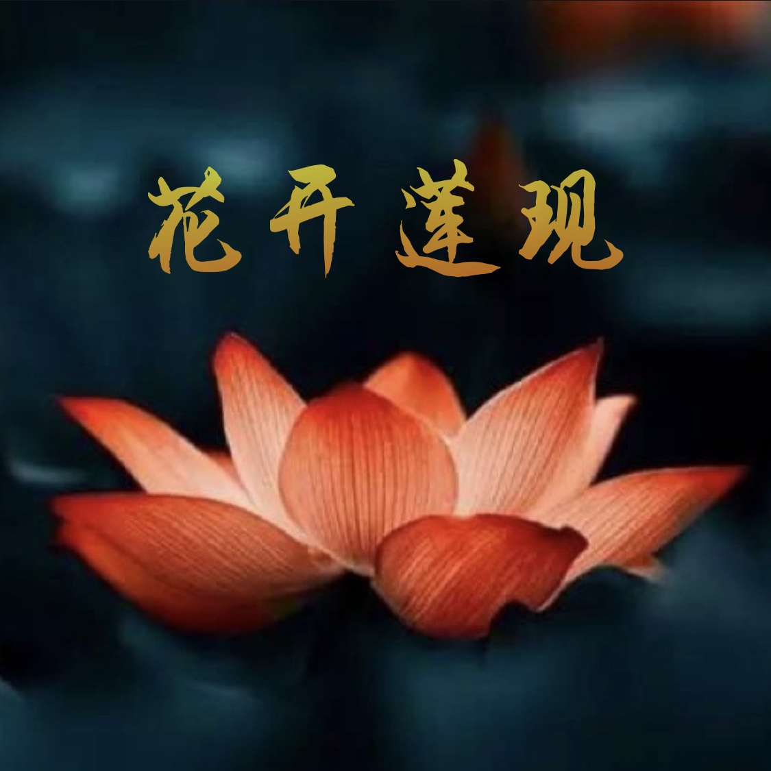 花开莲现》独家观点|红楼梦结局揭秘 星云大师:1000则智慧佛语 解忧