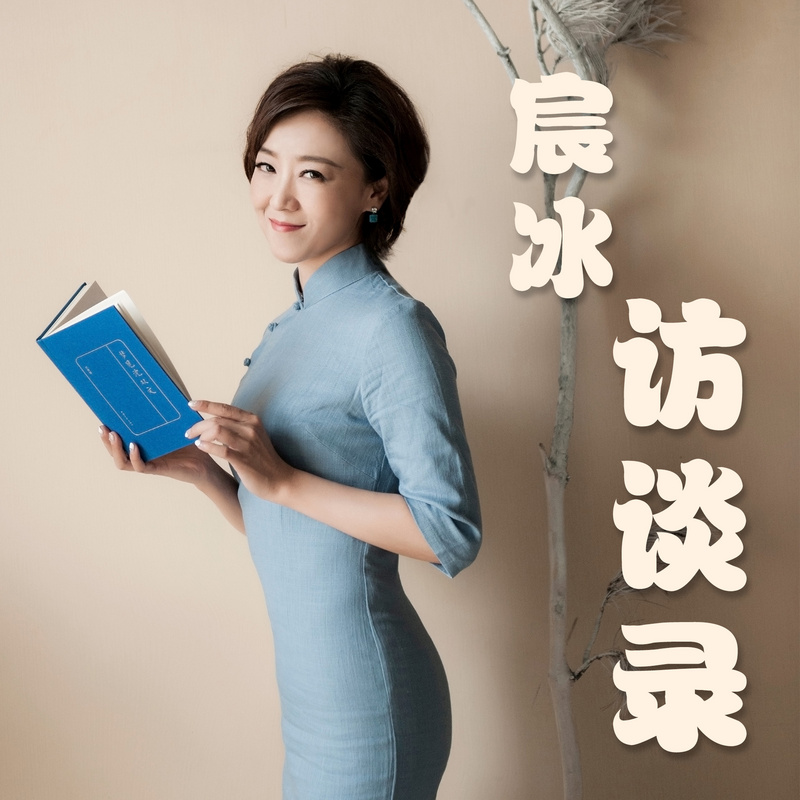 宸冰访谈录