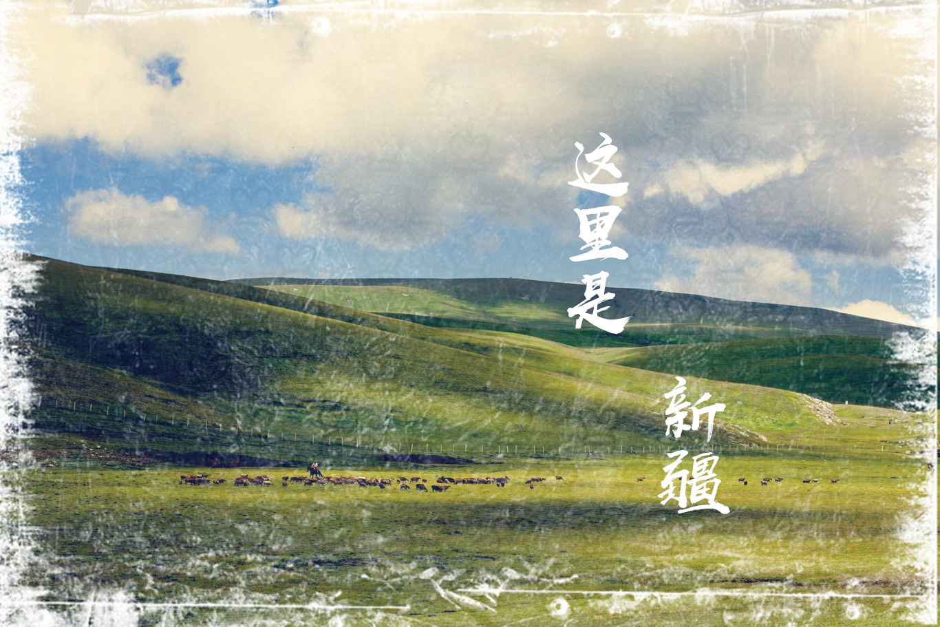 这里是 新疆 这里是 新疆
