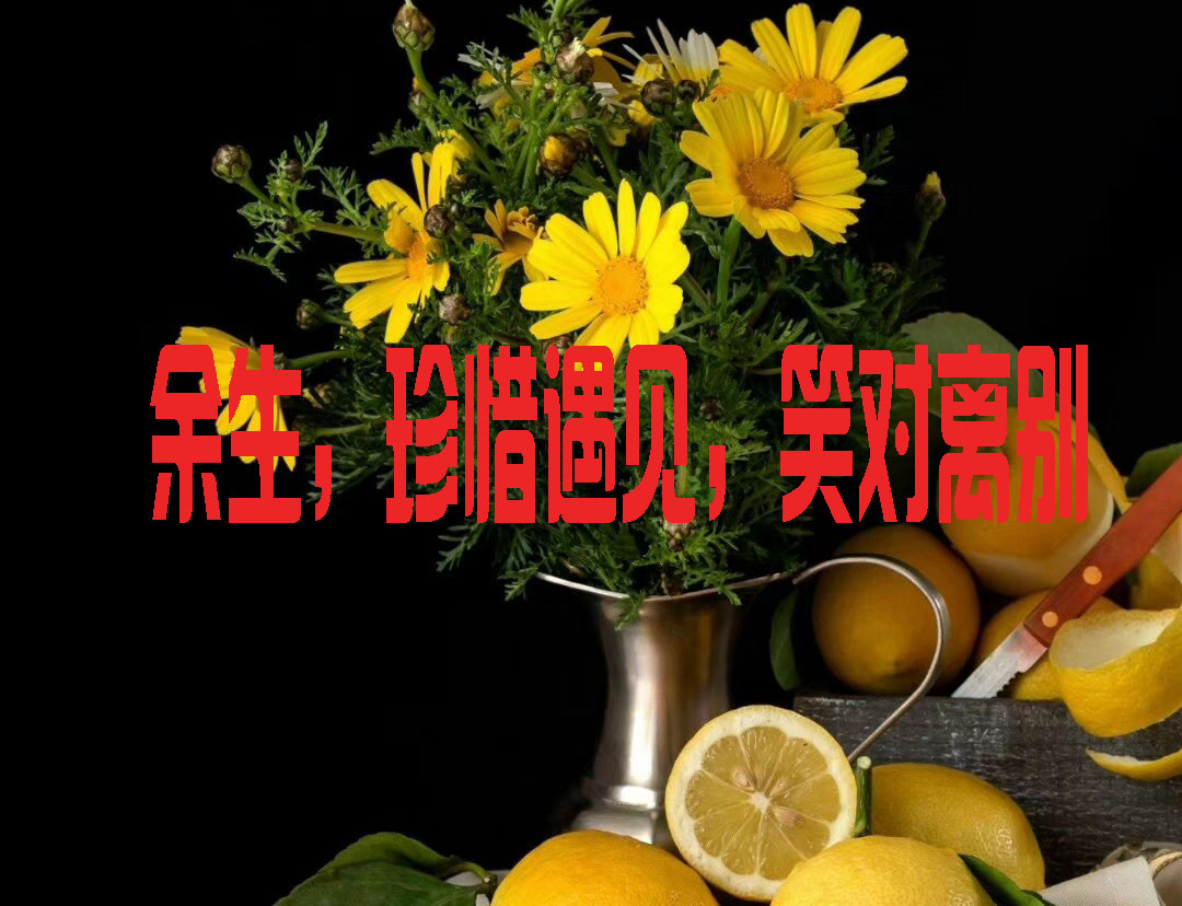 余生,珍惜遇见,笑对离别