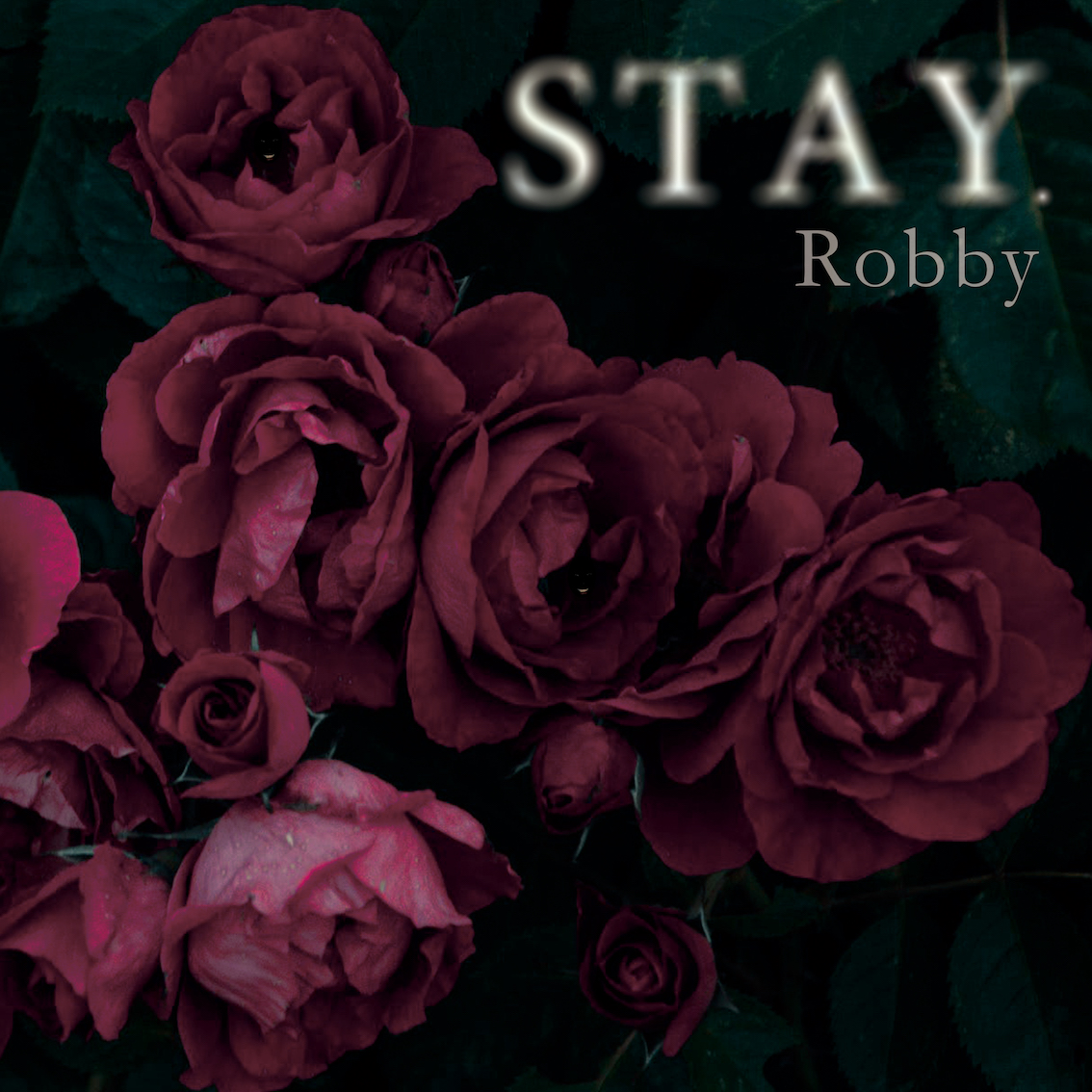 杨闳智:Stay 杨闳智:Stay