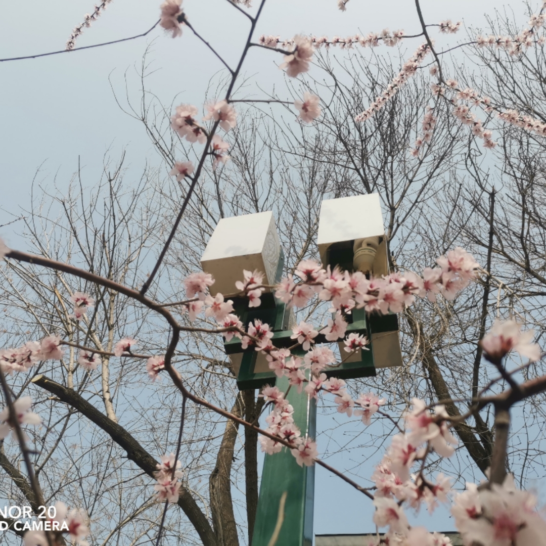https://upload-up.qingting.fm/user/0420878a8aa54c678986cb2addeaaa17/86711a8aba73734ca57202f25312dd03.jpg