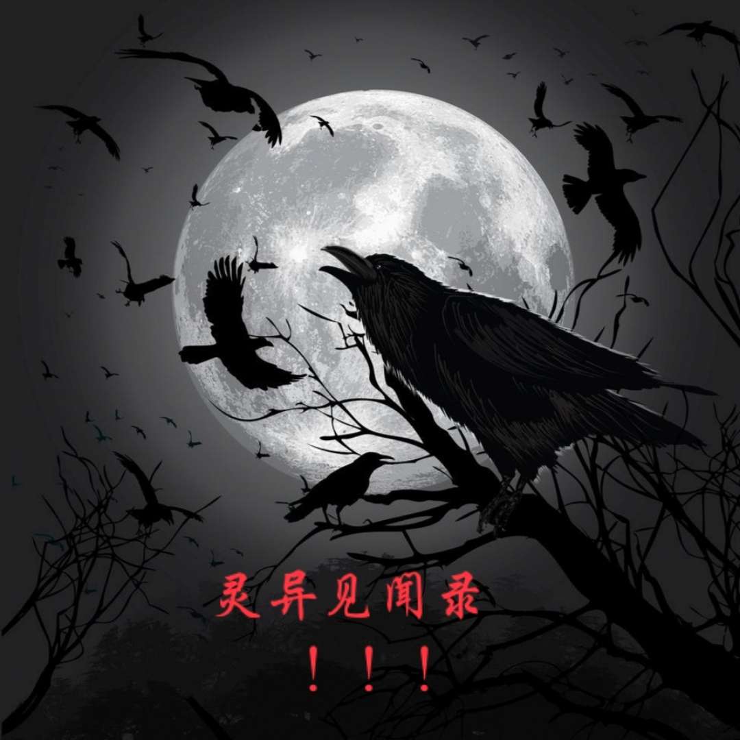 https://upload-up.qingting.fm/user/0c03f19d250705c52c5247016513bd4d/547eb33ad59616fdad0ae73a484b31cf.jpeg