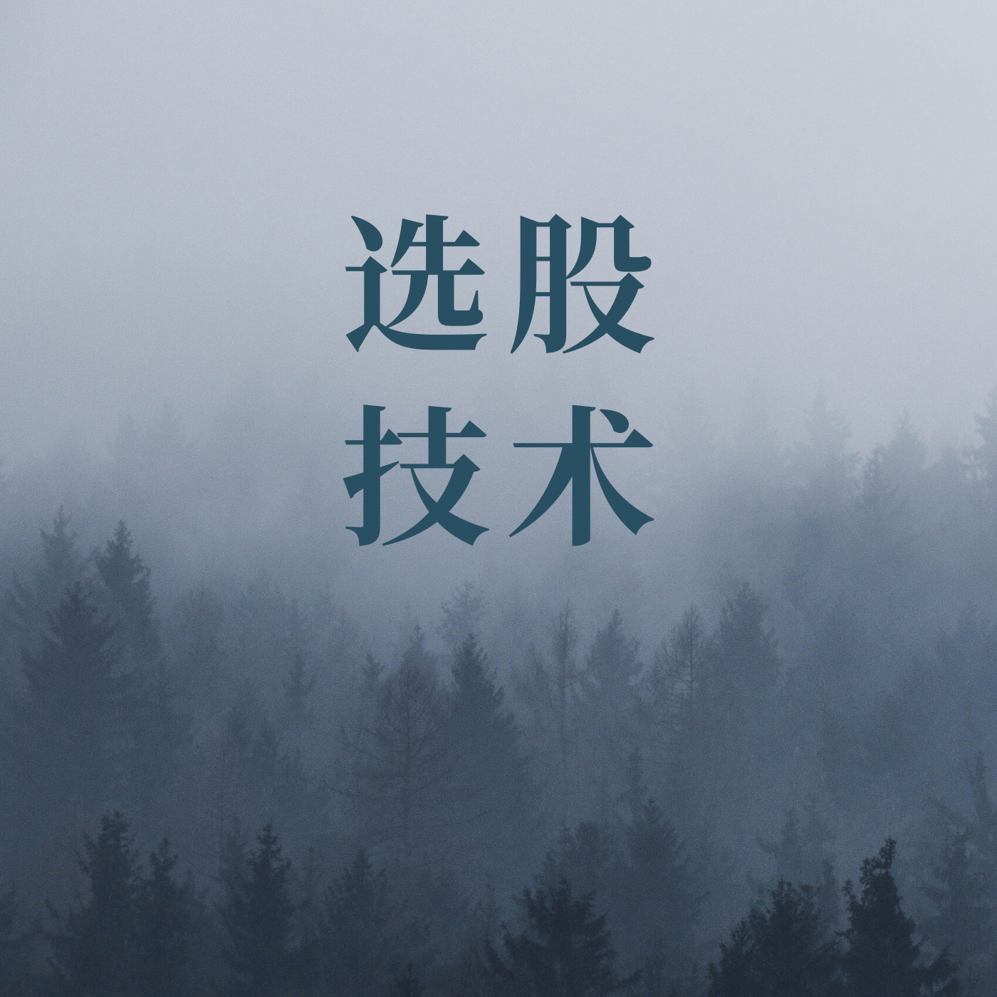 A股选股技巧