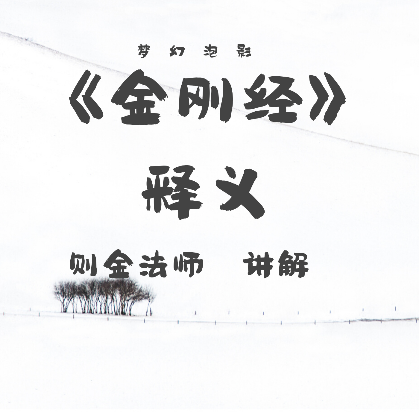 《金刚经》讲解(则金法师)