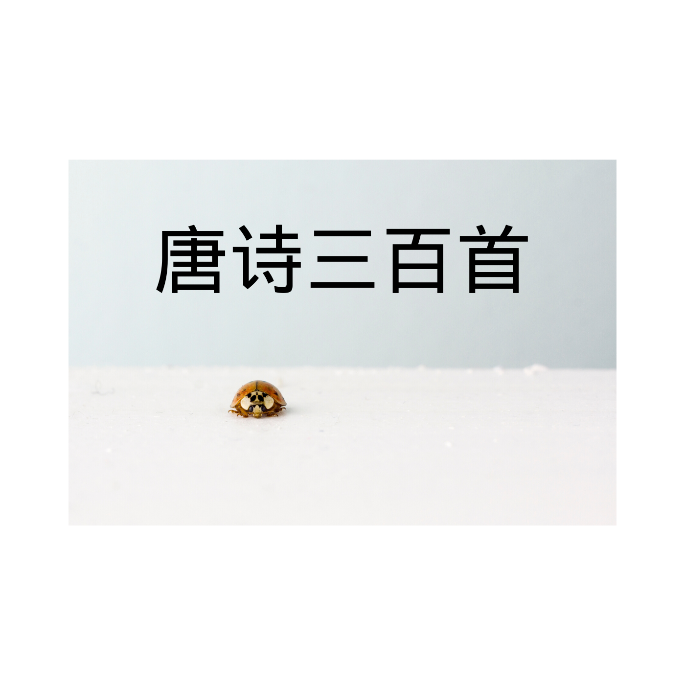 《唐诗三百首》（含赏析）