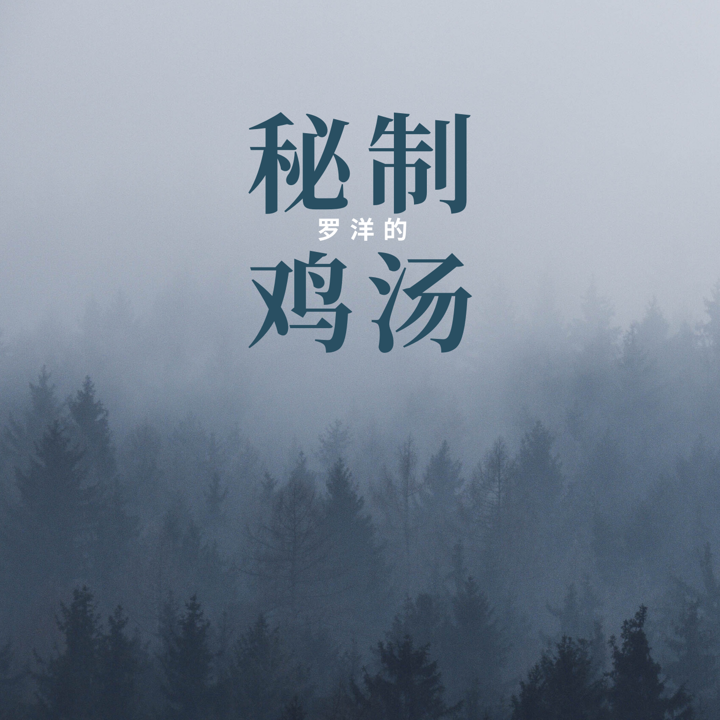 罗洋的秘制鸡汤