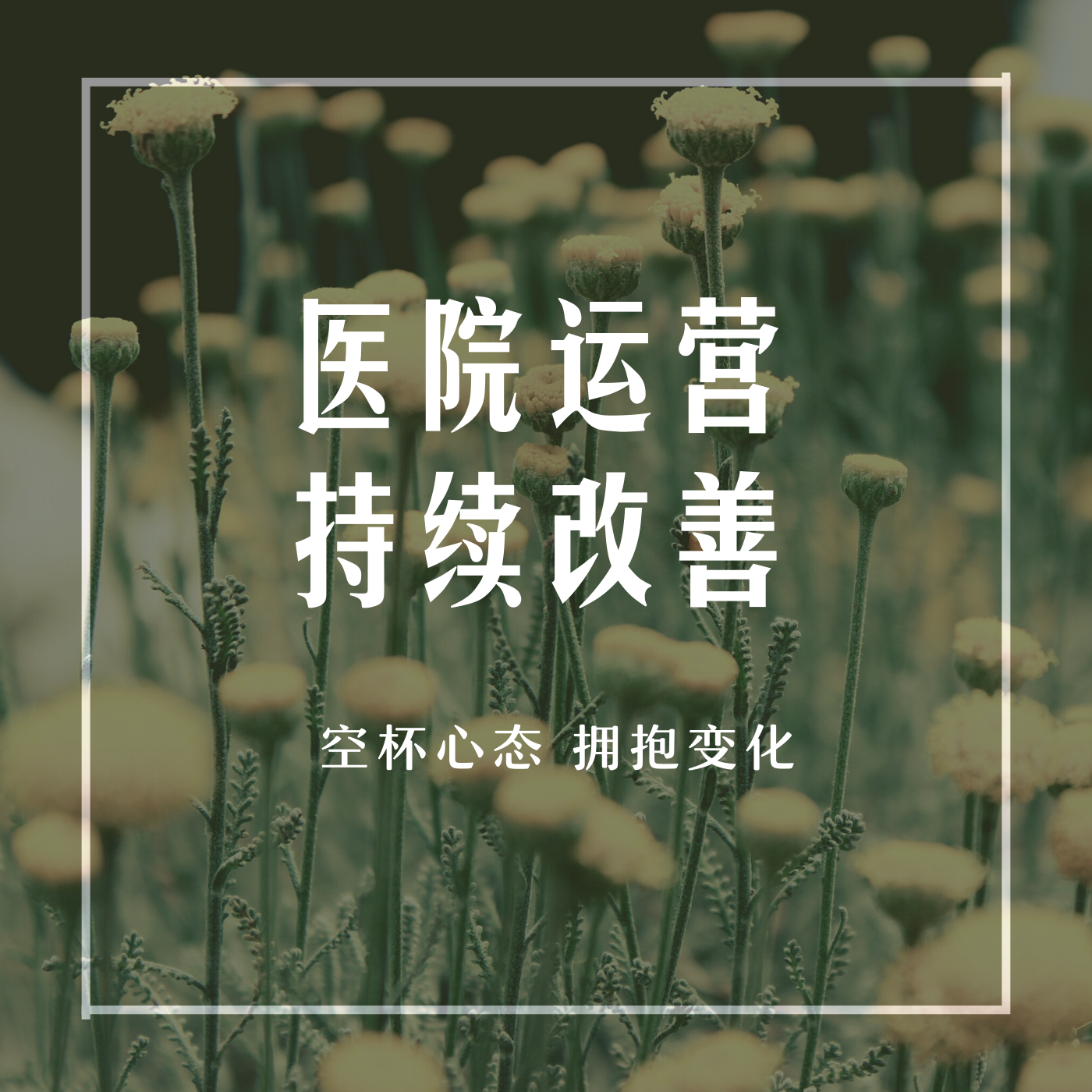 医院精细化运营