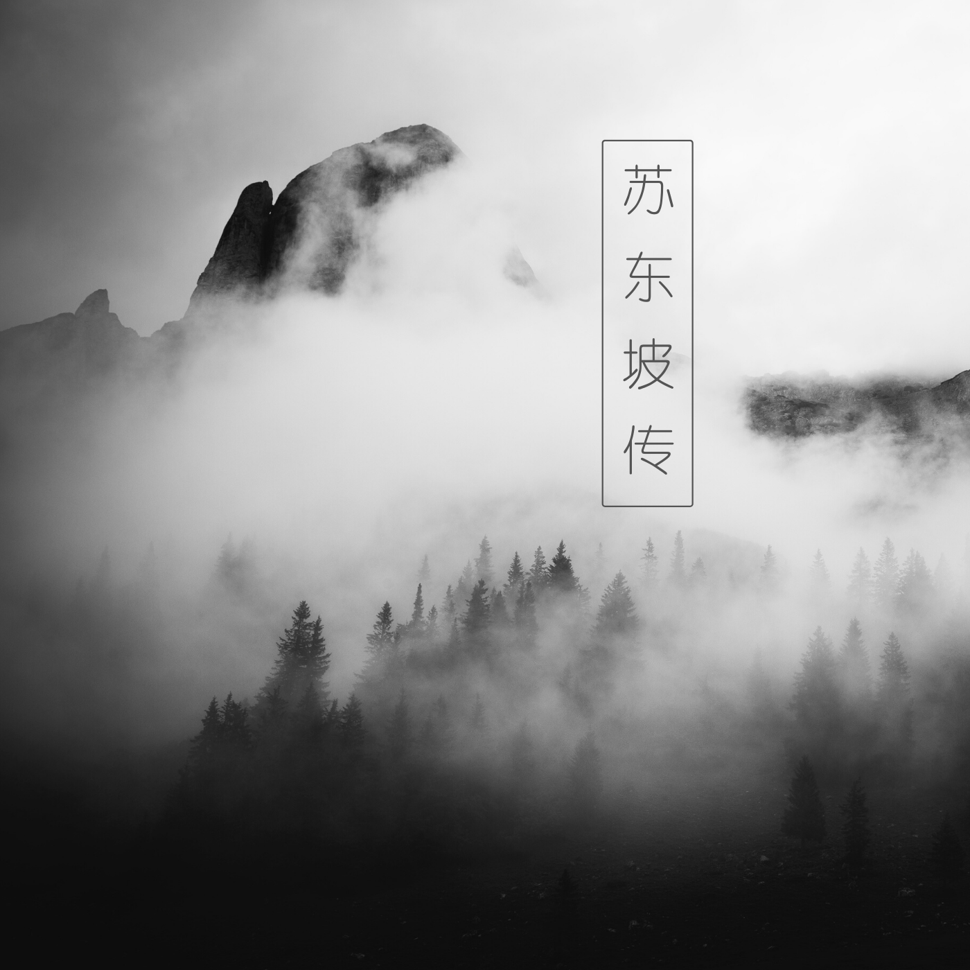 《苏东坡传》林语堂 | 鸟虫读书