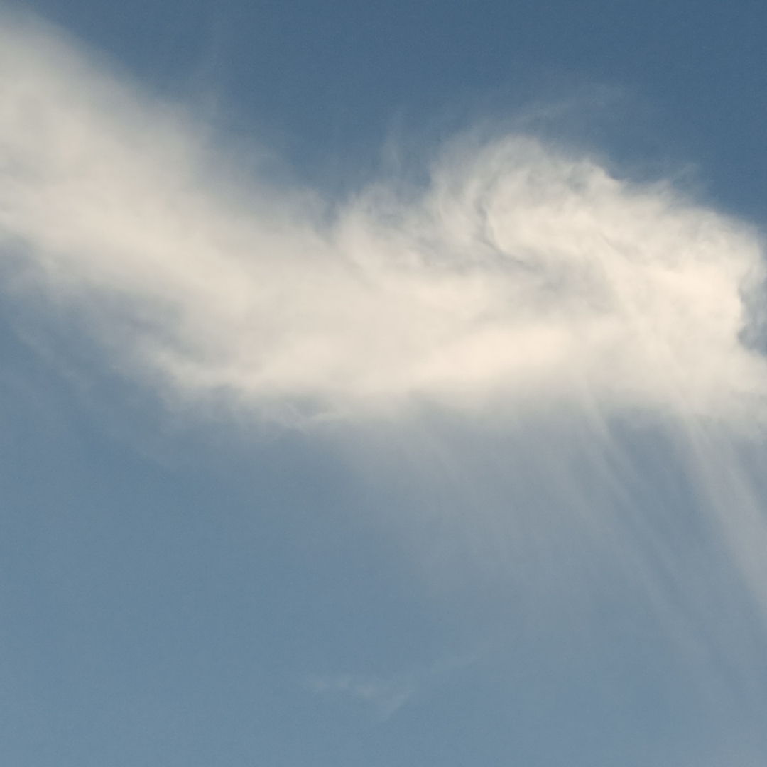 https://upload-up.qingting.fm/user/87e9824e5716464a850c655e621ff1ee/e4d79ca25ba1f5cd7a8581589fe630ab.jpg