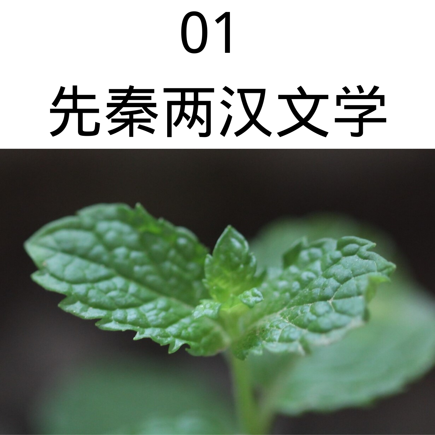 01先秦两汉文学