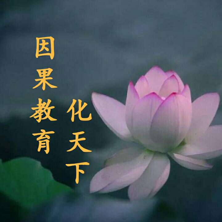 因果教育化天下