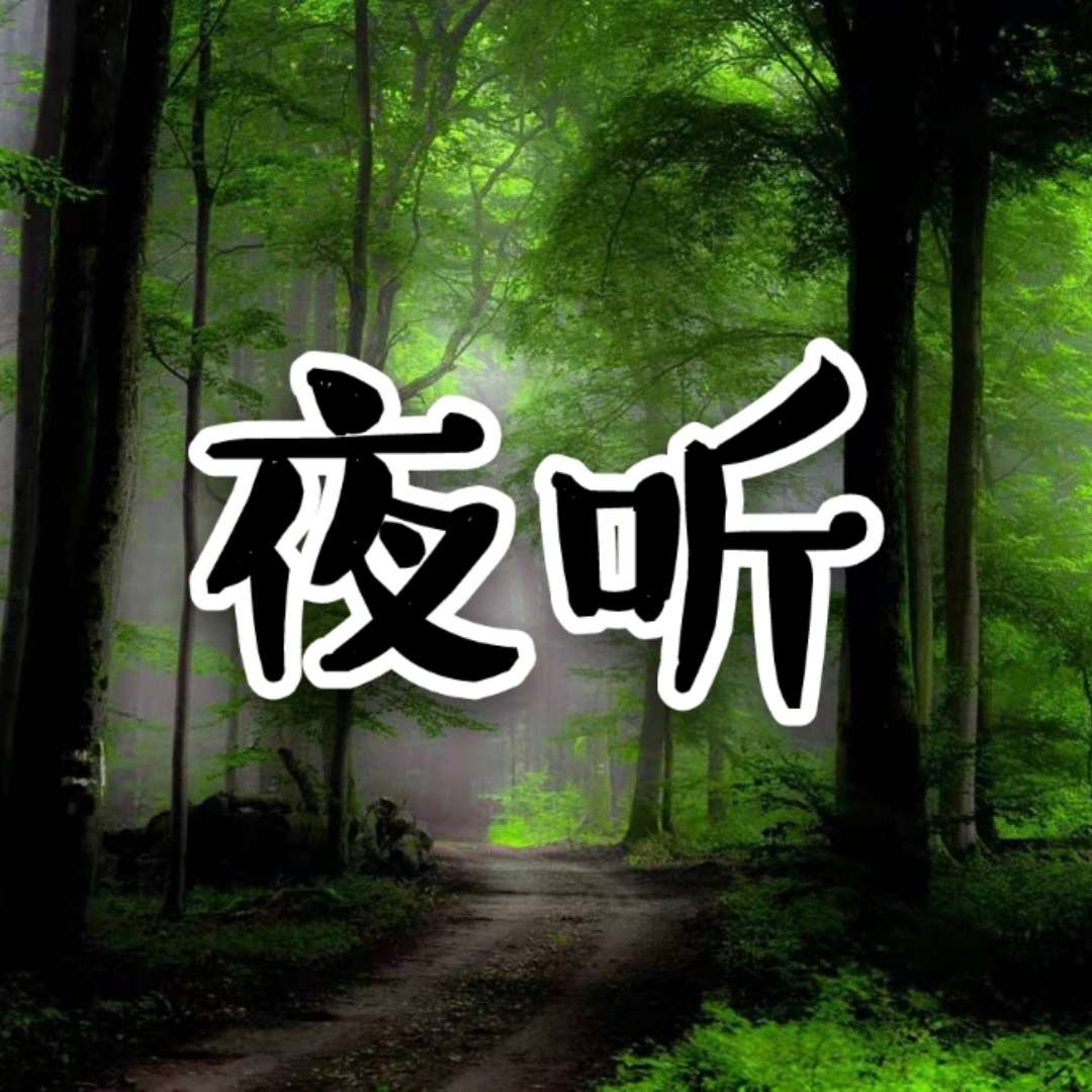丹心夜听