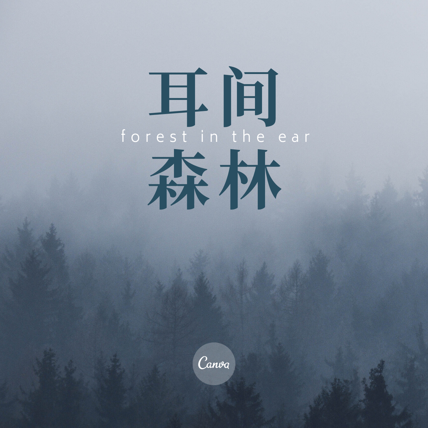 《从混沌到秩序》云哥解读