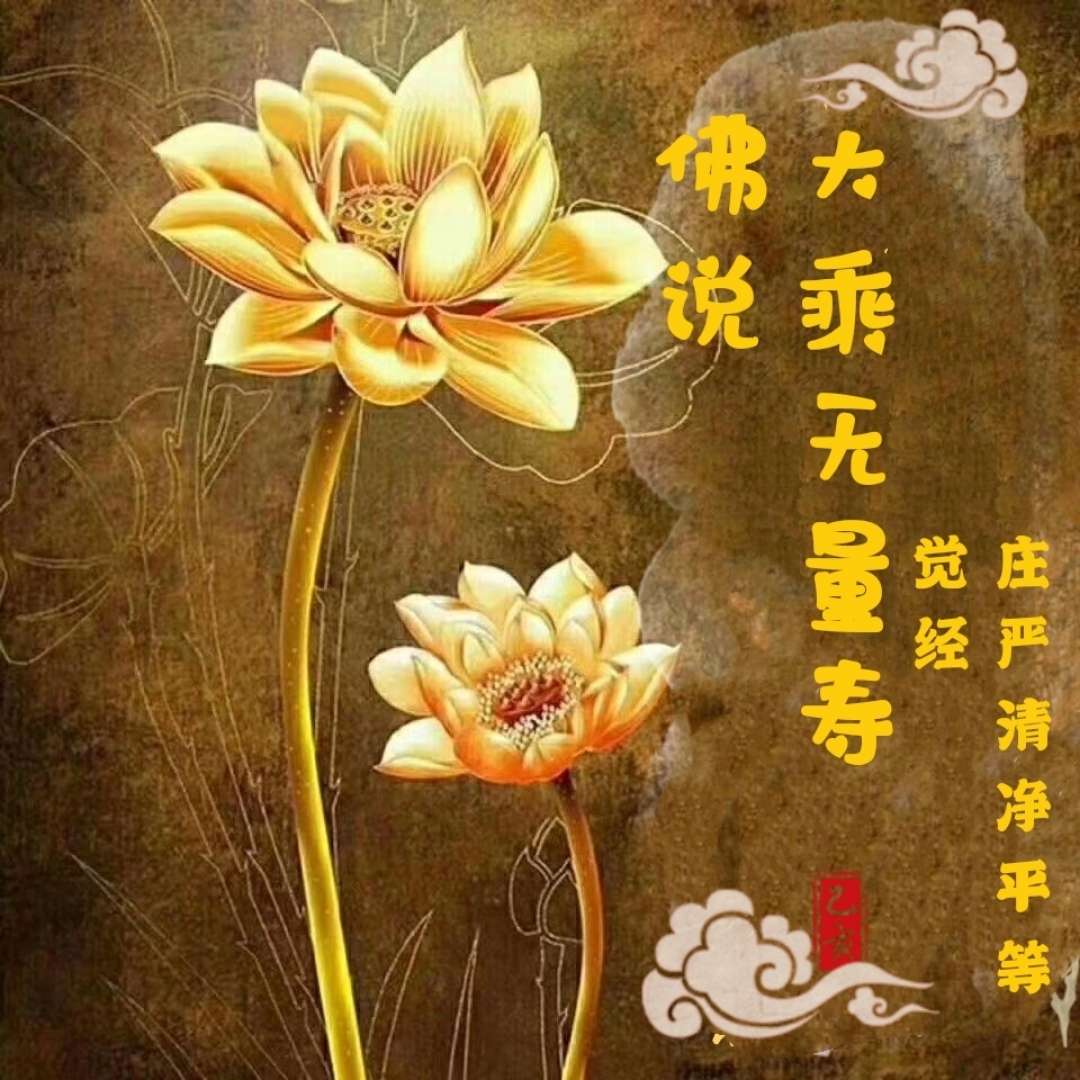 所属专辑: 佛说大乘无量寿庄严清净平等觉经亲闻记 主播: 乙禾诵佛经